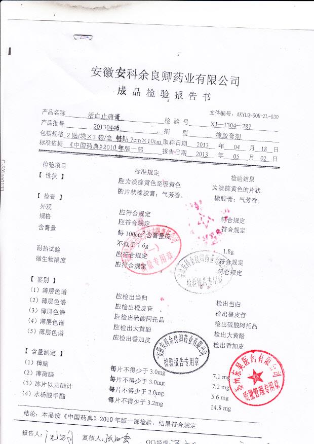 20130446活血止痛膏