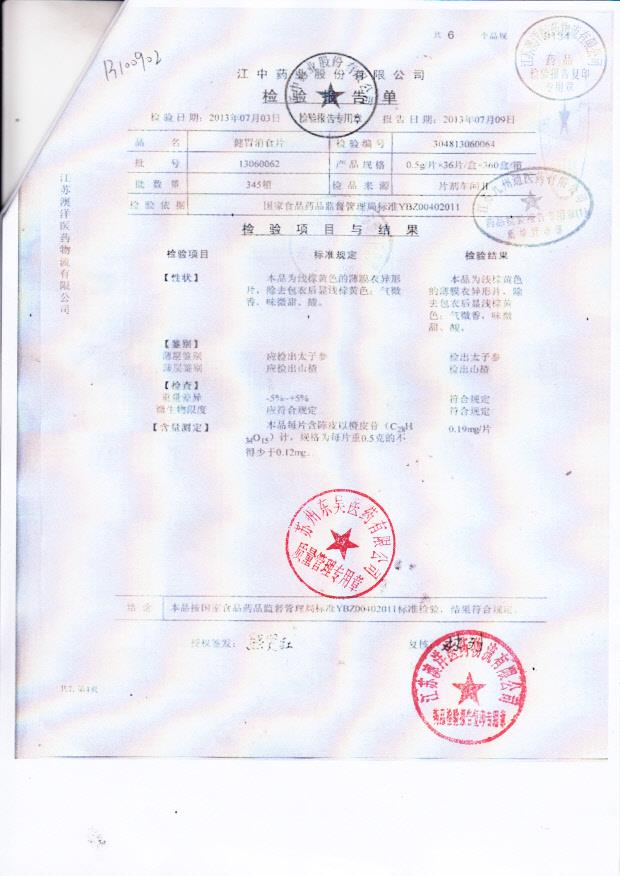 13060062健胃消食片