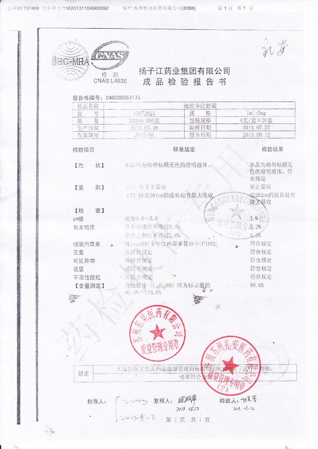 13072621地佐辛注射液