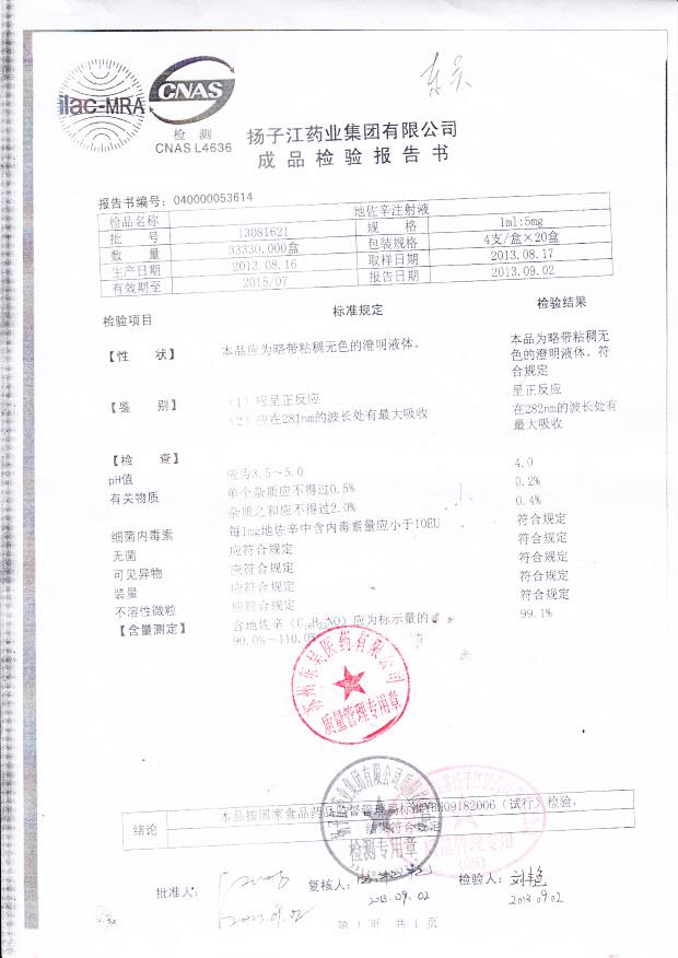 13081621地佐辛注射液