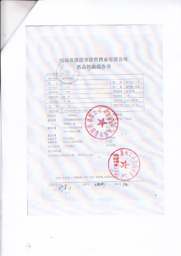 20130805健胃消食片