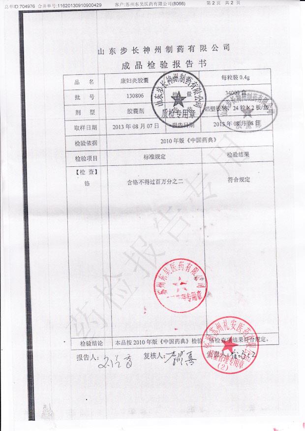 130806康妇炎胶囊