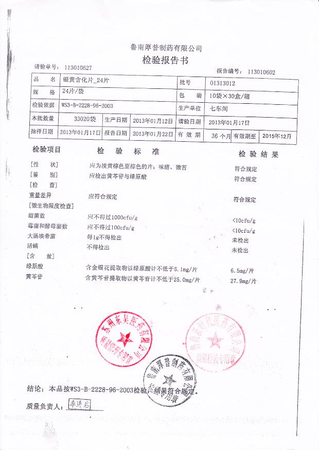 01313012银黄含化片