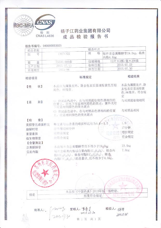 13071322银杏叶片