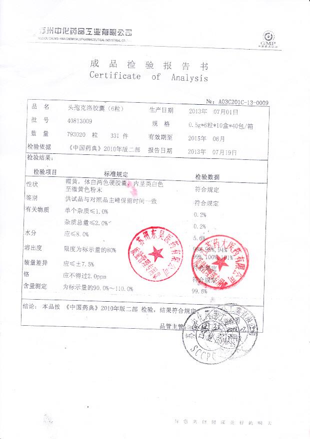 40813009头孢克洛胶囊