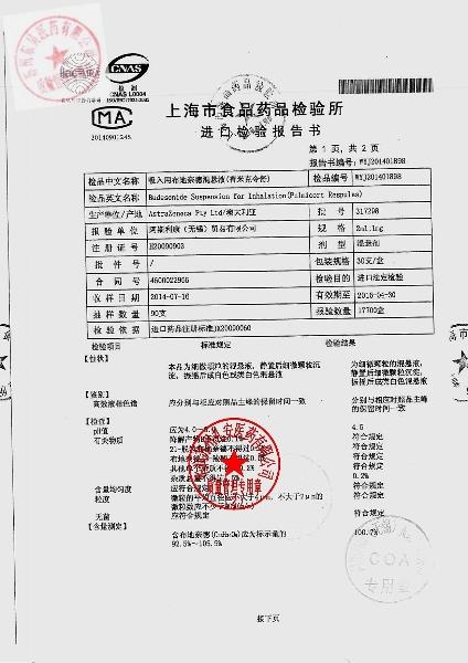 317298吸入用布地奈德混悬液2