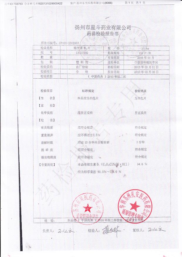 13022202维生素B1片