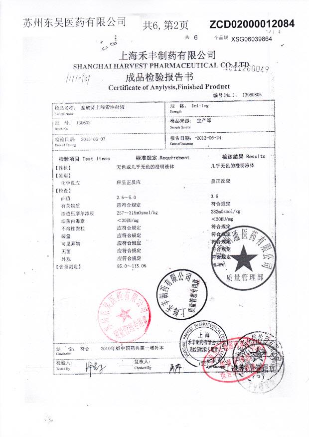 130602盐酸肾上腺素注射液