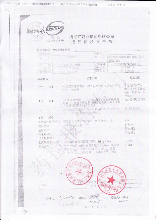 13073121银杏叶片