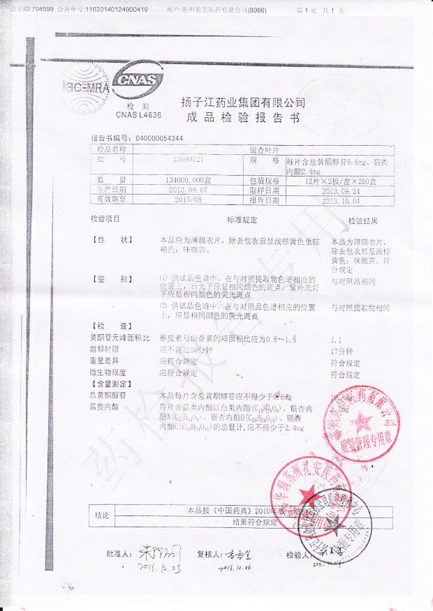 13090721银杏叶片