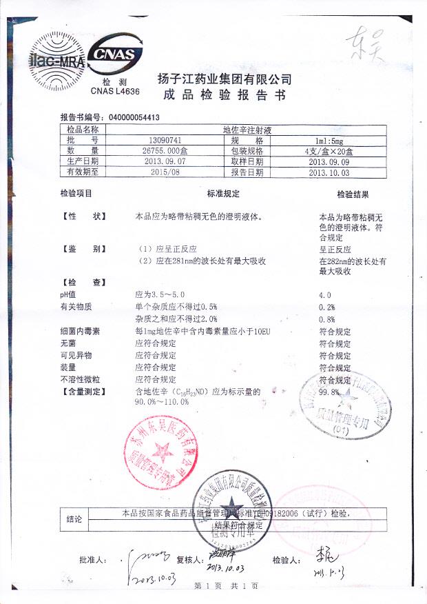 13090741地佐辛注射液