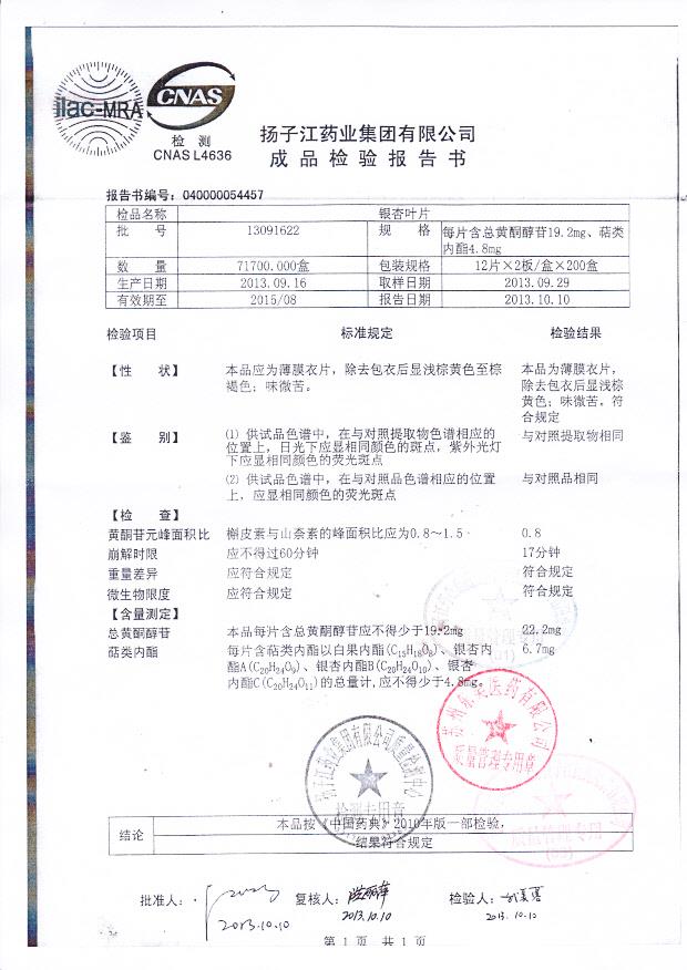 13091622银杏叶片