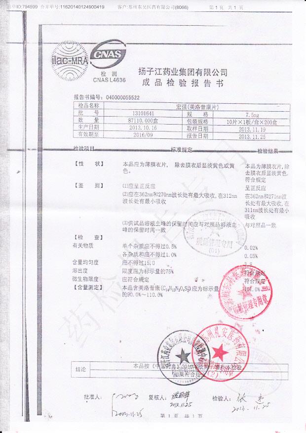 13101641美洛昔康片