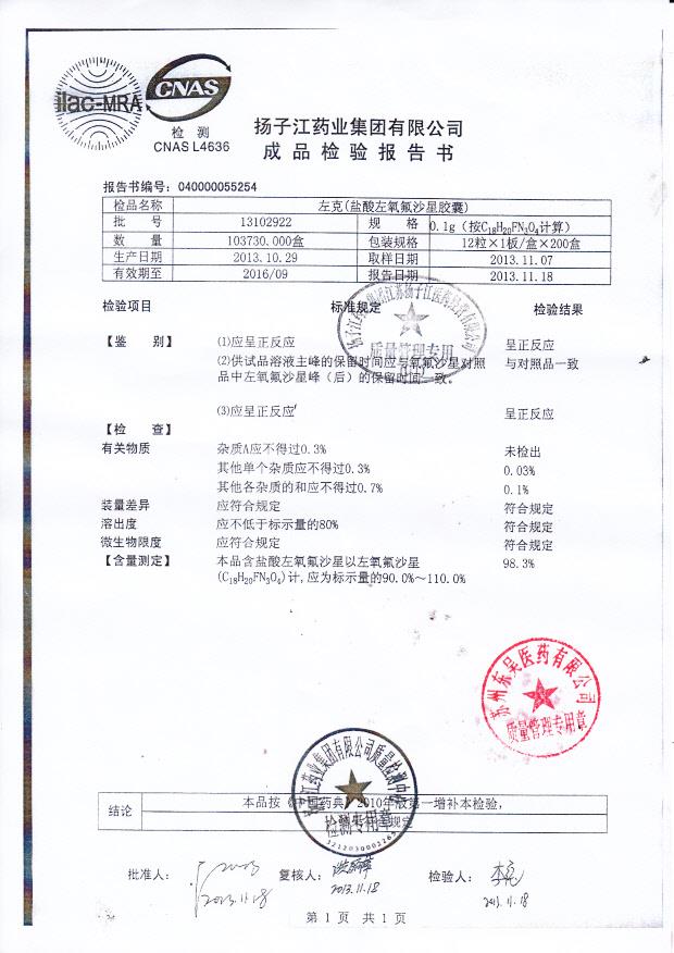 13102922盐酸左氧氟沙星胶囊