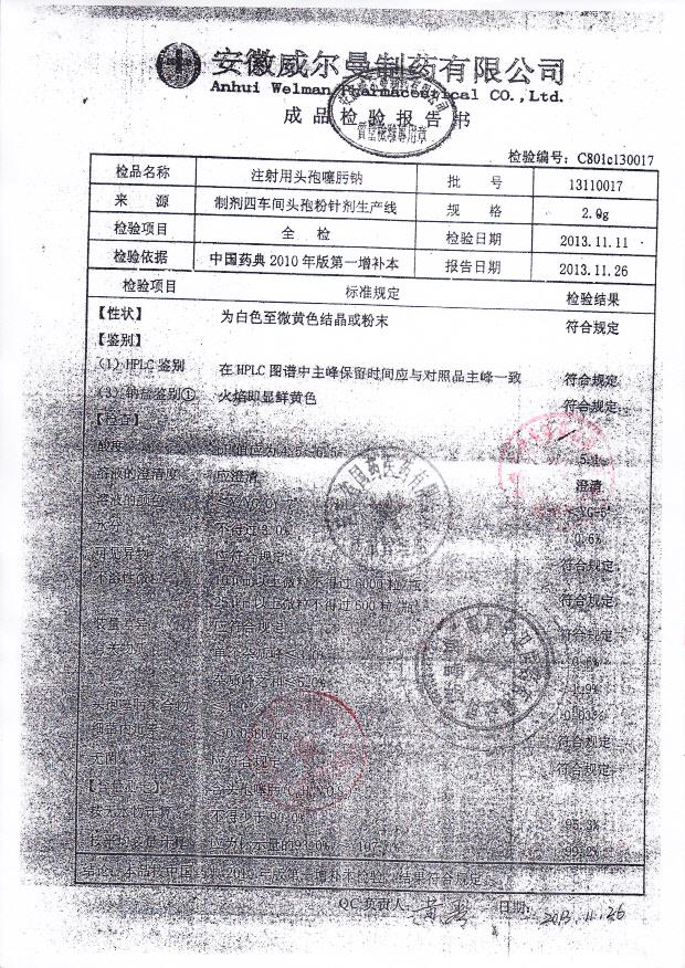 13110017注射用头孢噻肟钠