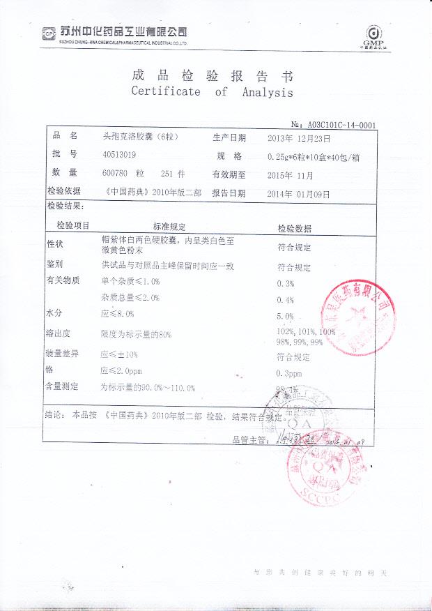 40513019头孢克洛胶囊