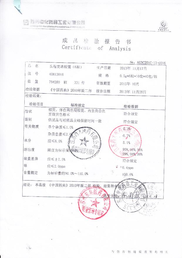 40813016头孢克洛胶囊