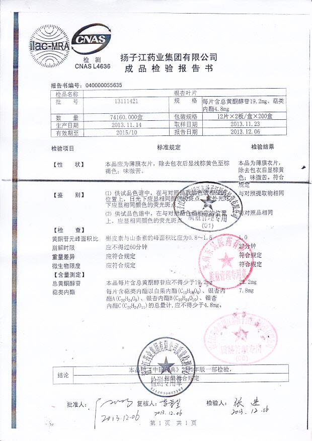 13111421银杏叶片