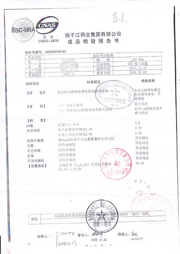 13121741地佐辛注射液