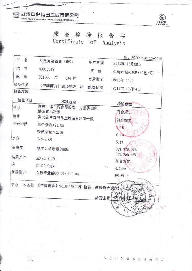 40813019头孢克洛胶囊