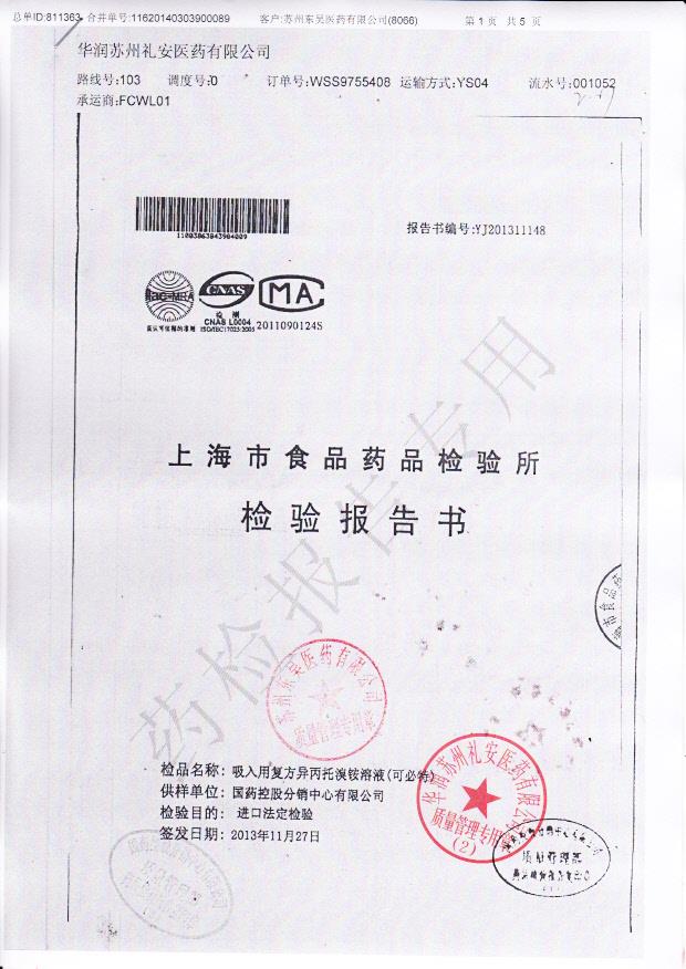 3984009吸入用复方异丙托溴铵溶液1