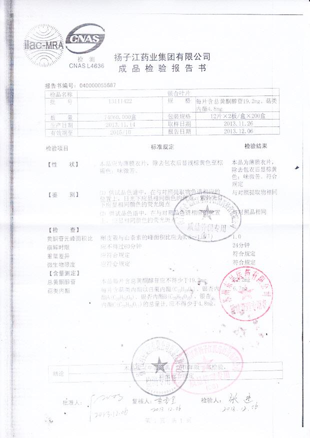 13111422银杏叶片