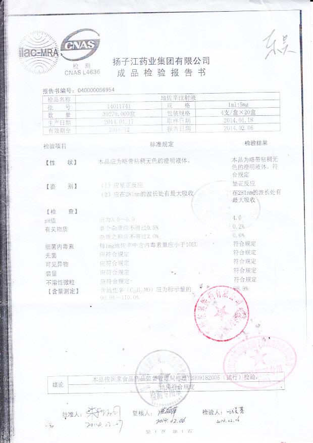 14011741地佐辛注射液