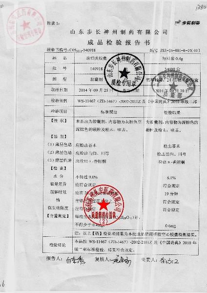 140918康妇炎胶囊