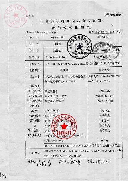 141001康妇炎胶囊