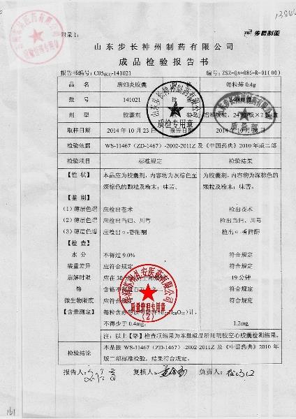 141021康妇炎胶囊