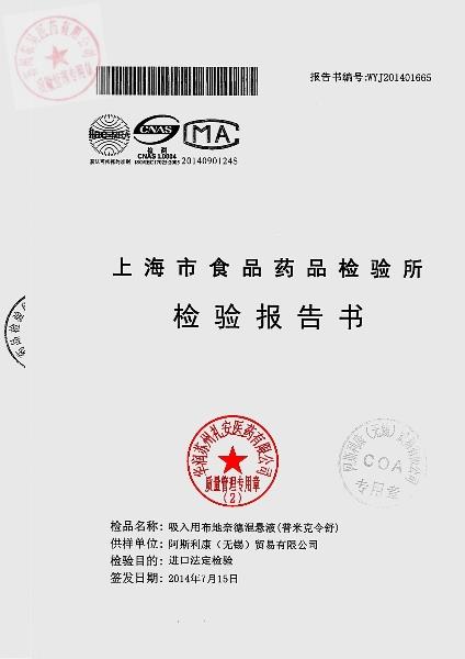 317196吸入用布地奈德混悬液1