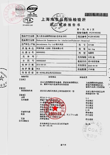 317196吸入用布地奈德混悬液2