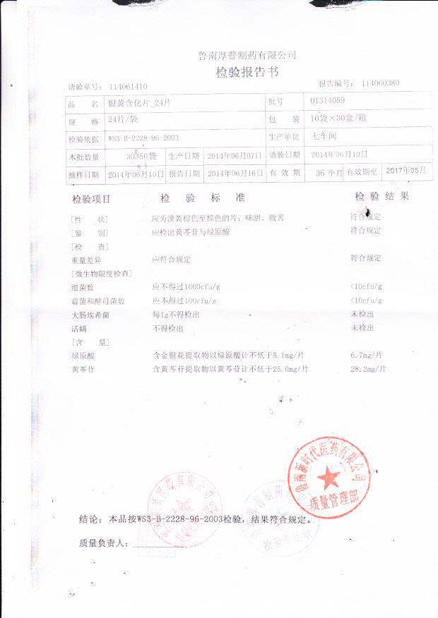 01314059银黄含化片