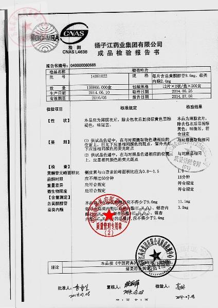 14061022银杏叶片