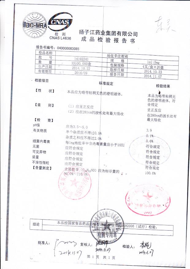 14102241地佐辛注射液