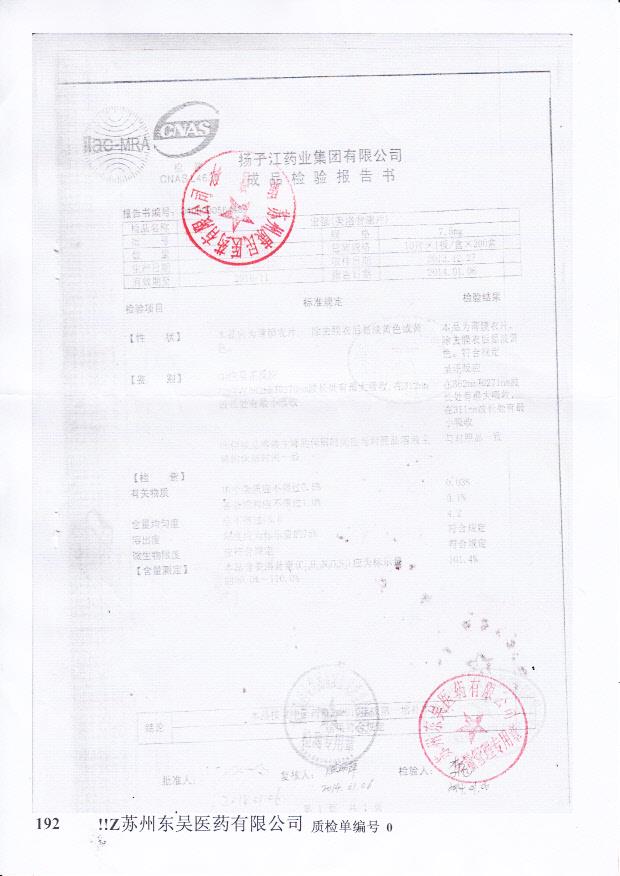 13121042美洛昔康片