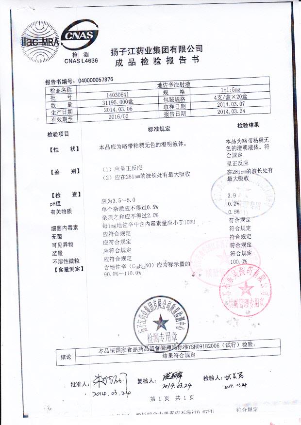 14030641地佐辛注射液