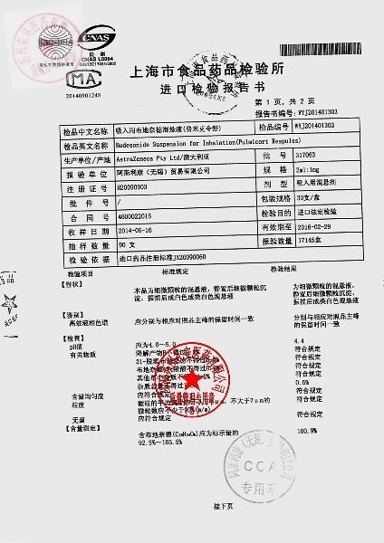 317063吸入用布地奈德混悬液2