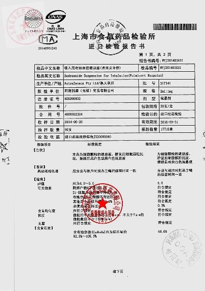 317141吸入用布地奈德混悬液2