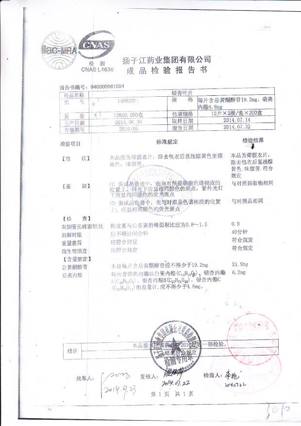 14063021银杏叶片