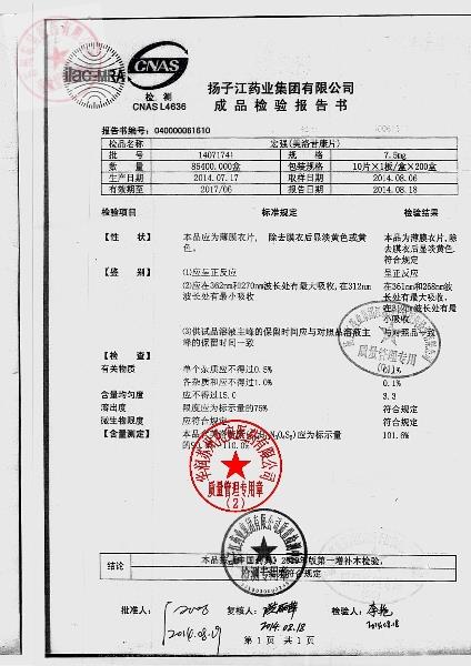 14071741美洛昔康片