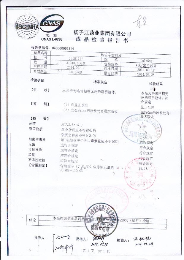 14091141地佐辛注射液