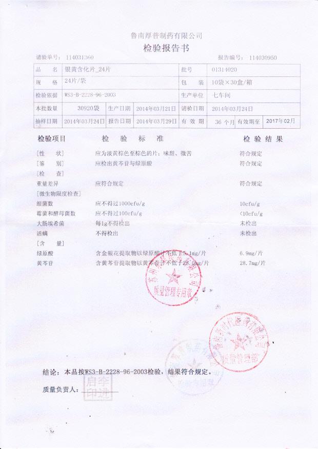 01314020银黄含化片