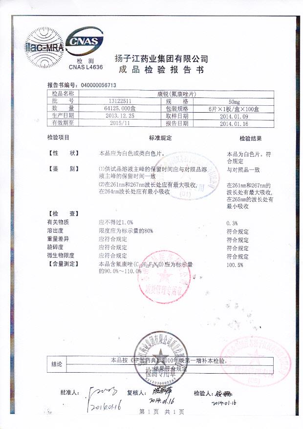 13122511氟康唑片