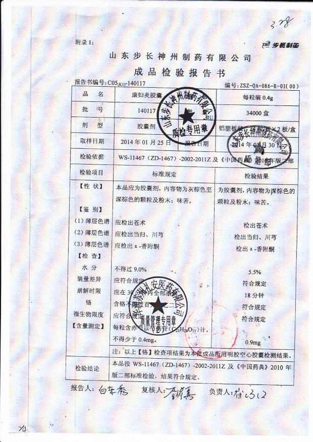 140117康妇炎胶囊