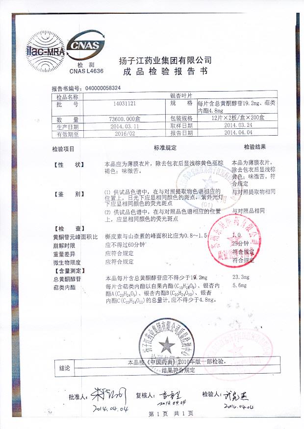 14031121银杏叶片