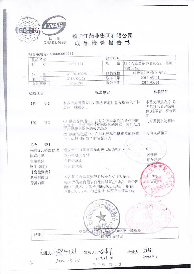 14041821银杏叶片