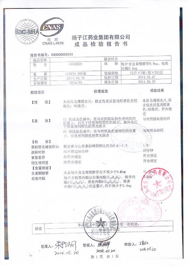 14042621银杏叶片