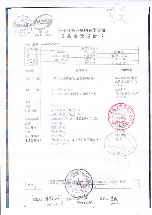 14050941地佐辛注射液