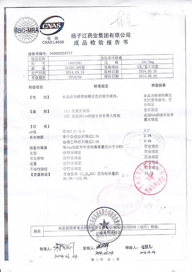 14051941地佐辛注射液